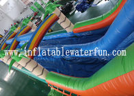 商業ポリ塩化ビニールの防水シートの緑のジャングル小さいプールが付いている膨脹可能な水スライド