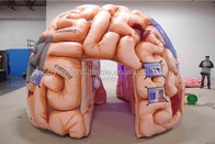 膨脹可能な頭脳のモデル テントの膨脹可能な医学の会議展覧会-メガ頭脳