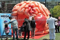膨脹可能な頭脳のモデル テントの膨脹可能な医学の会議展覧会-メガ頭脳