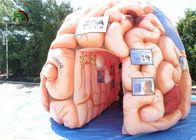 巨人4mの教育SGS EN71のための膨脹可能な頭脳のレプリカの人工器官