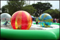 水公園のための水球の混合され色 2m 直径によってカスタマイズされるポリ塩化ビニール Wak