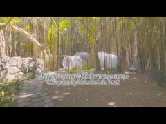 膨張式バブルハウス ホテルテント