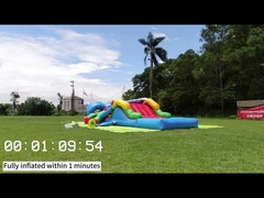 キング31 シアンチング