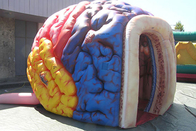 膨脹可能なメガ頭脳モデル器官展覧会の巨大な人間の大きい頭脳のテント