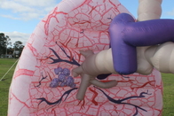 医学展覧会のでき事のための巨大で膨脹可能な肺モデル広告