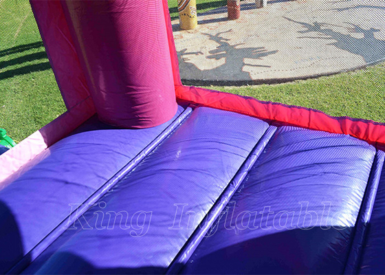 Inflatable Bouncing Castleディズニーの王女の屋外党Jumingは女の子のための家を跳ねる