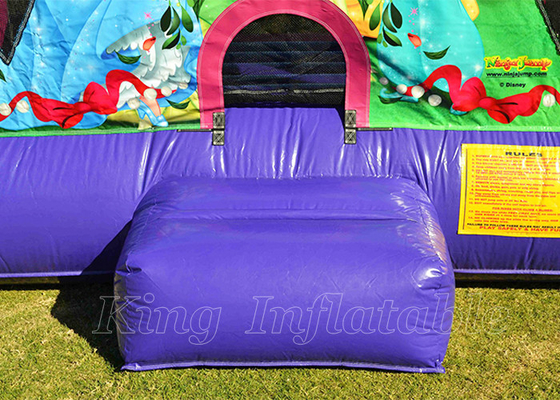 Inflatable Bouncing Castleディズニーの王女の屋外党Jumingは女の子のための家を跳ねる