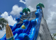 大きく膨脹可能な水スライドの青い屋外の商業用等級膨脹可能な水スライド