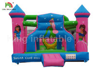 子供屋外のActivitesのためのInflatable Commercial Bounce Houses耐久ポリ塩化ビニールのピンクの王女