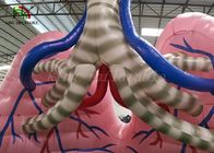 肉-医学の調査のための着色された爆発のシミュレーションの肺モデル器官ショーのテント