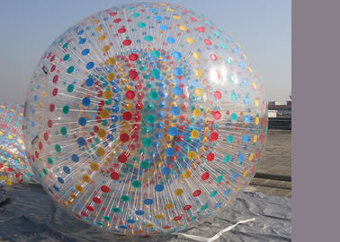 青はハムスターの膨脹可能な Zorb の球に点を打ちます