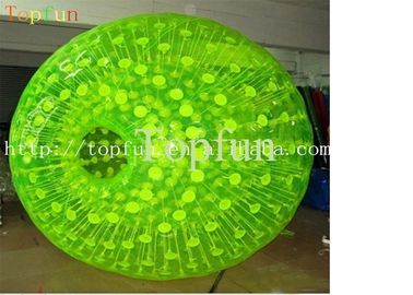 青はハムスターの膨脹可能な Zorb の球に点を打ちます