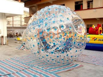 青はハムスターの膨脹可能な Zorb の球に点を打ちます